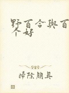 野百合与百合哪个好封面