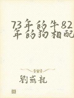 73年的牛82年的狗相配吗