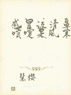 感冒流清鼻涕打喷嚏是风寒还是风热