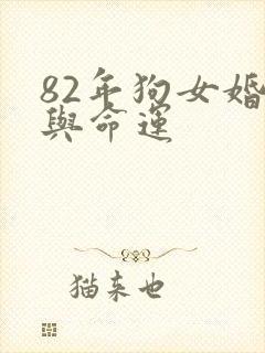 82年狗女婚姻与命运