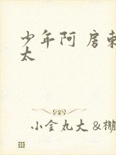 少年阿 房东太太