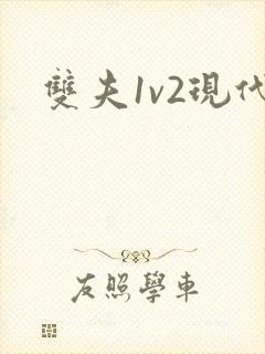 双夫1v2现代封面