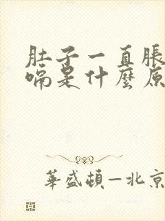 肚子一直胀气打嗝是什么原因