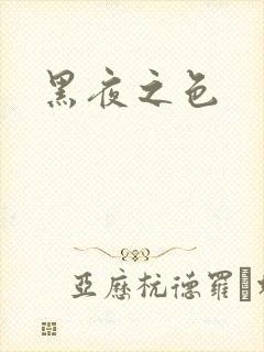 黑夜之色封面