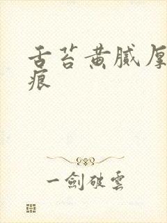 舌苔黄腻厚有齿痕