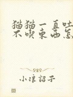 猫猫一直吐黄水不吃东西怎么办