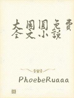 大团圆免费阅读全文小说封面