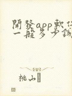 开发app软件一般多少钱