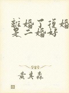 离婚了复婚好还是二婚好封面