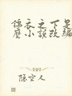 锦衣之下是用什么小说改编的