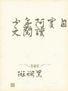 少年阿宾目录全文阅读