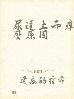 尿道上面痒是什么原因