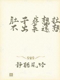 肚子疼想拉屎拉不出来还想吐