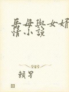 岳母与女婿的奸情小说