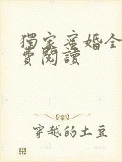 独家蜜婚全文免费阅读封面