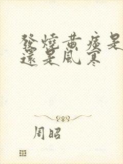 发烧黄痰是风热还是风寒