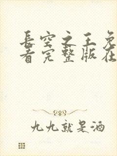 长空之王免费观看完整版在线高清