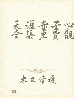 天涯赤子心在线全集免费观看第43集