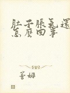 肚子胀气还想吐怎么回事封面