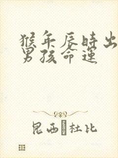 猴年辰时出生的男孩命运封面