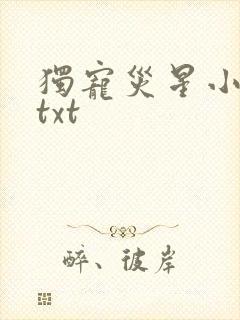 独宠灾星小夫郎txt