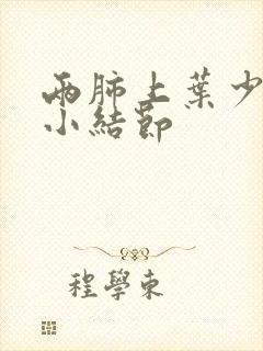 两肺上叶少许微小结节封面