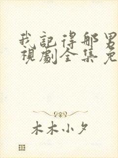 我记得那男孩电视剧全集免费观看