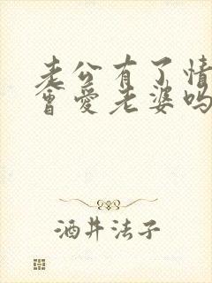 老公有了情人还会爱老婆吗封面