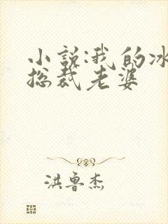 小说:我的冰山总裁老婆封面