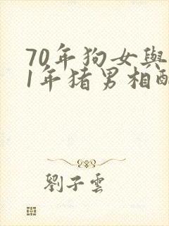 70年狗女与71年猪男相配咋样封面