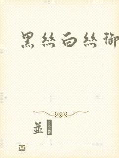 黑丝白丝御姐