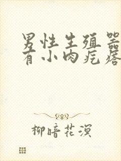 男性生殖器边缘有小肉疙瘩