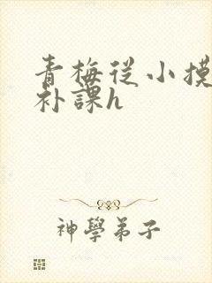 青梅从小摸到大补课h