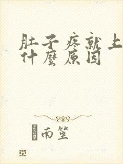 肚子疼就上大便什么原因