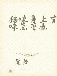 猫咪身上有尿骚味怎么办封面