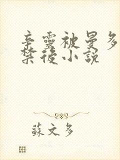 辛灵被曼多拉囚禁后小说封面