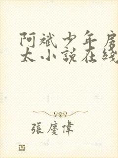 阿斌少年房东太太小说在线阅读