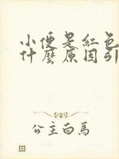 小便是红色的是什么原因引起的吗