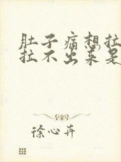 肚子痛想拉屎又拉不出来是什么原因