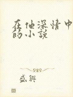 在他深情中陨落的小说
