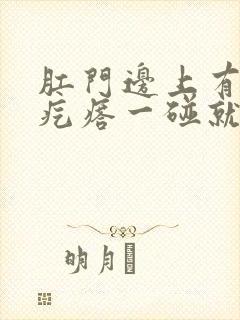 肛门边上有个硬疙瘩一碰就疼