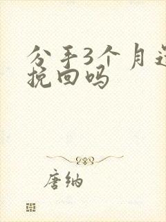 分手3个月还能挽回吗封面