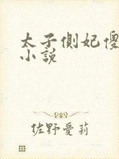 太子侧妃傻乎乎小说封面