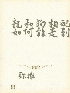 龙和狗相配婚姻如何能走到最后吗?