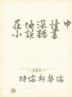 在他深情中陨落小说听书封面