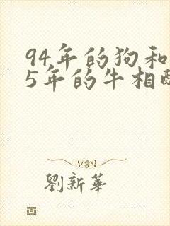 94年的狗和85年的牛相配婚姻如何