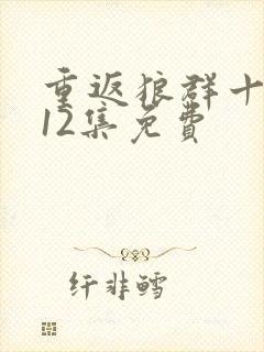 重返狼群十周年12集免费