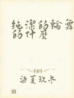 纯洁的轮舞曲讲的什么