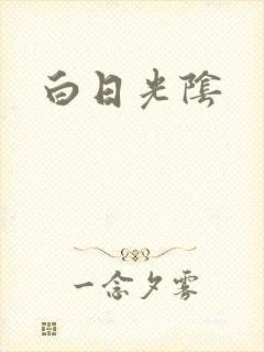 白日光阴封面