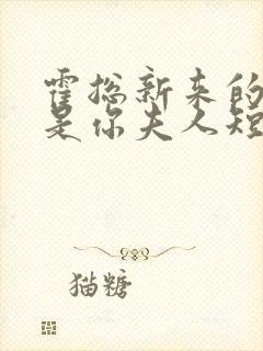 霍总新来的好像是你夫人短剧免费